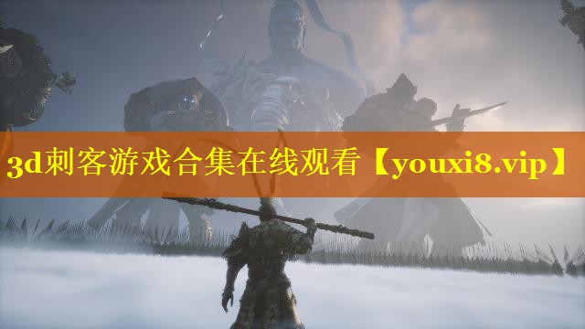 3d刺客游戏合集在线观看